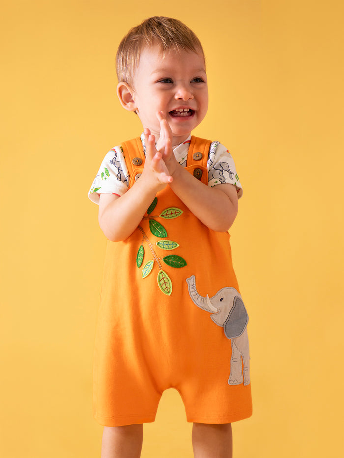 Lelant Dungaree