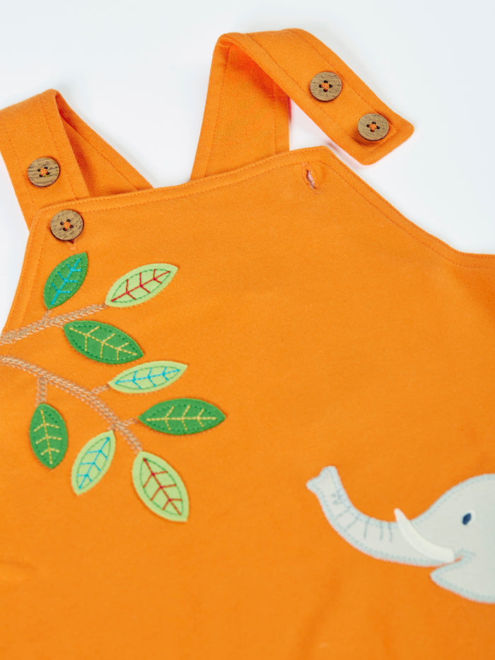Lelant Dungaree