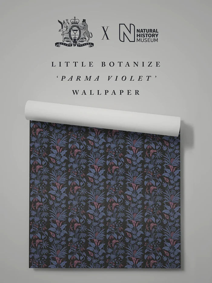 Parma Violet