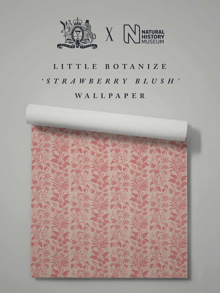 Strawberry Blush