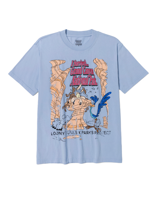 Shop Looney Tunes x Parks Project Grand Canyon Tee Inspired by Grand Canyon