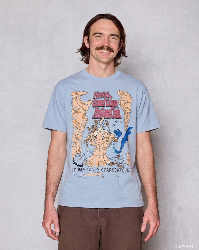 Shop Looney Tunes x Parks Project Grand Canyon Tee Inspired by Grand Canyon | light-blue