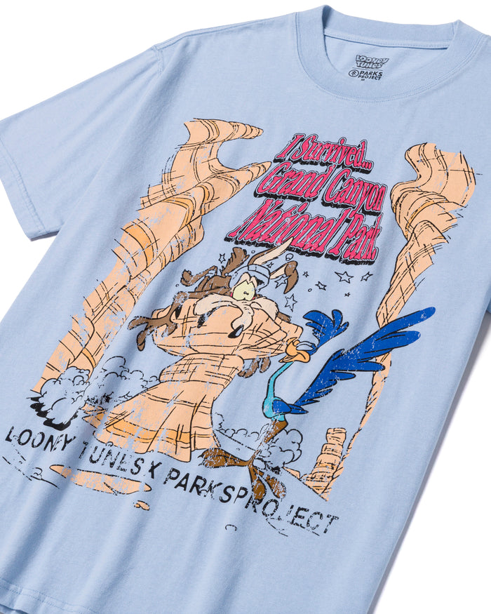 Shop Looney Tunes x Parks Project Grand Canyon Tee Inspired by Grand Canyon | light-blue