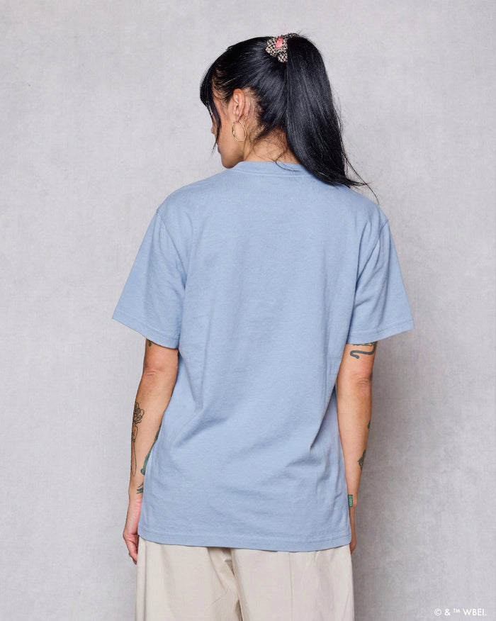 Shop Looney Tunes x Parks Project Grand Canyon Tee Inspired by Grand Canyon | light-blue