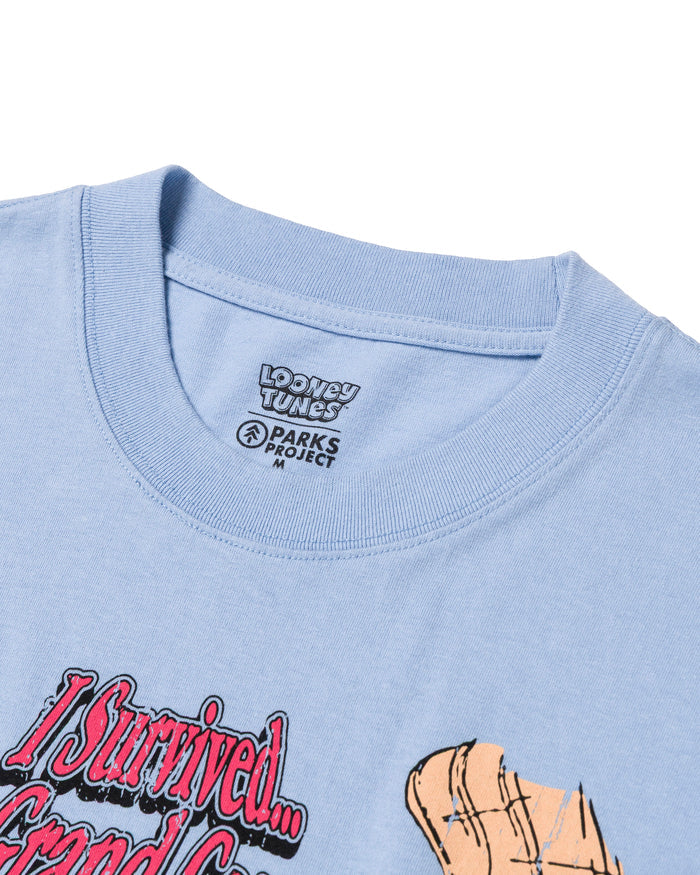 Shop Looney Tunes x Parks Project Grand Canyon Tee Inspired by Grand Canyon