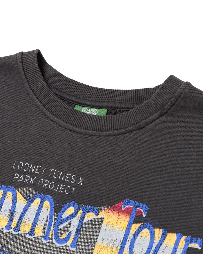 Shop Looney Tunes x Parks Project Tour Crew Inspired by Desert Parks | vintage-black