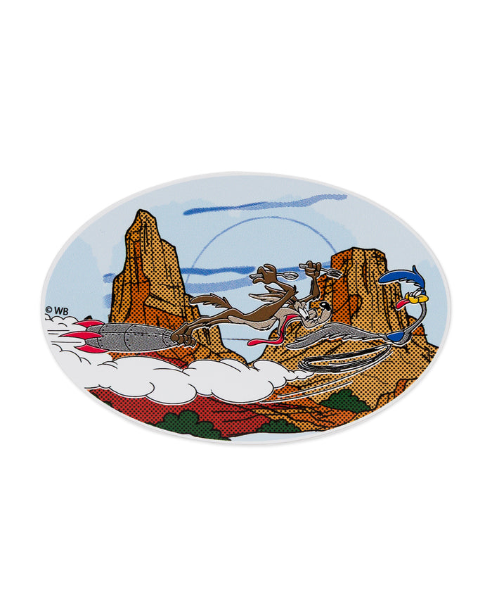 Shop Looney Tunes x Parks Project Water Bottle and Sticker Pack | multi-color