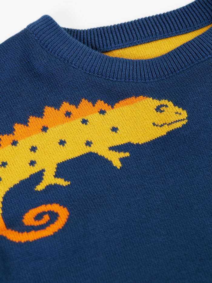 Luca Reversible Jumper