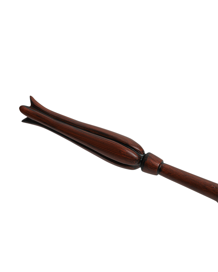 Luna Lovegood's Wand