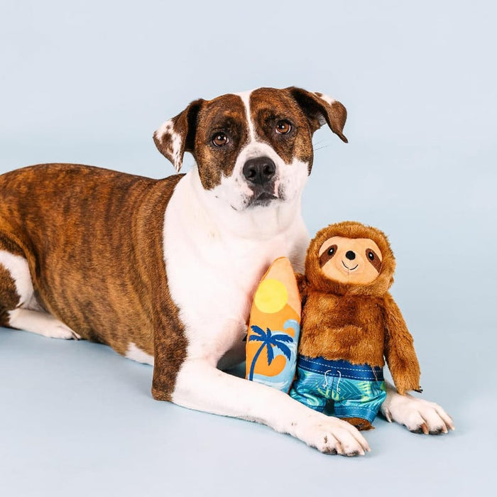 Petshop by Fringe Studio dog toys Makin' Waves Summer Beach Surf Sloth Plush Squeaky Dog Toy
