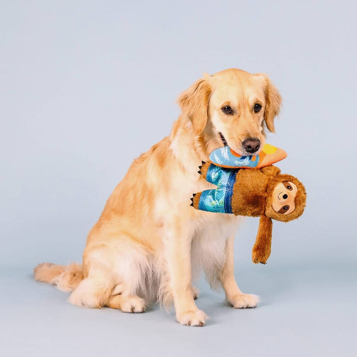 Petshop by Fringe Studio dog toys Makin' Waves Summer Beach Surf Sloth Plush Squeaky Dog Toy