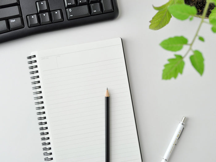 Maruman Mnemosyne Notebook N104 - B5 Dotted