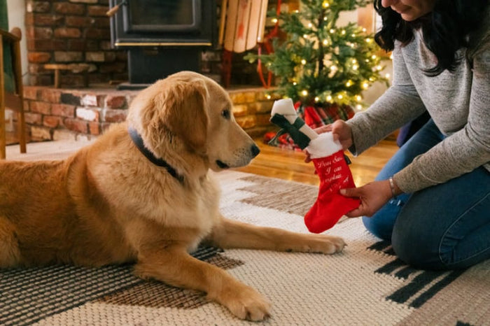 Play Pet Brands dog toys Merry Woofmas Good Dog Stocking Christmas Holiday Plush Dog Toy Set - 2Pc