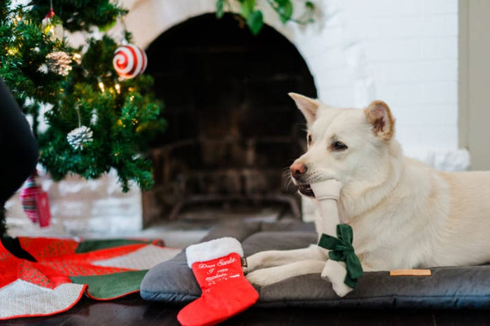 Play Pet Brands dog toys Merry Woofmas Good Dog Stocking Christmas Holiday Plush Dog Toy Set - 2Pc