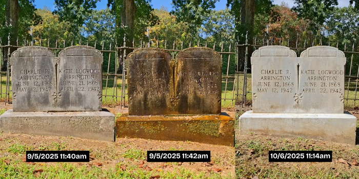 MINI Gravestone & Monument Cleaning Set-Endurance Restoration Products-Atlas Preservation