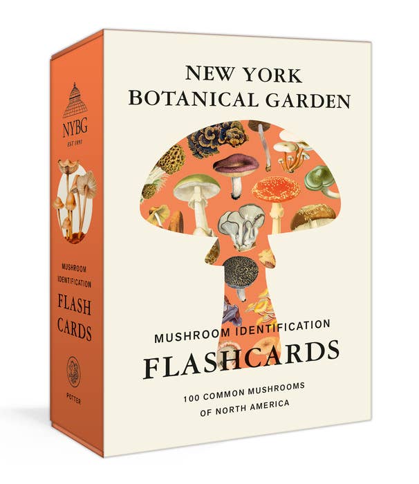 Set of mushroom identification flashcards from Penguin Random House LLC, showing colorful mushroom illustrations on each card.