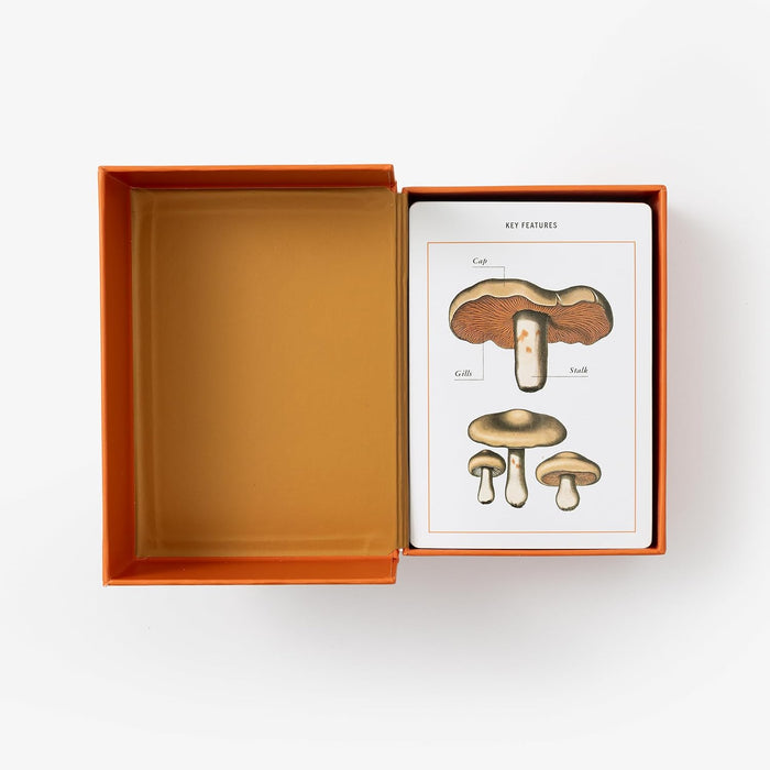 Set of mushroom identification flashcards by Penguin Random House LLC, featuring colorful illustrations of various mushroom species.