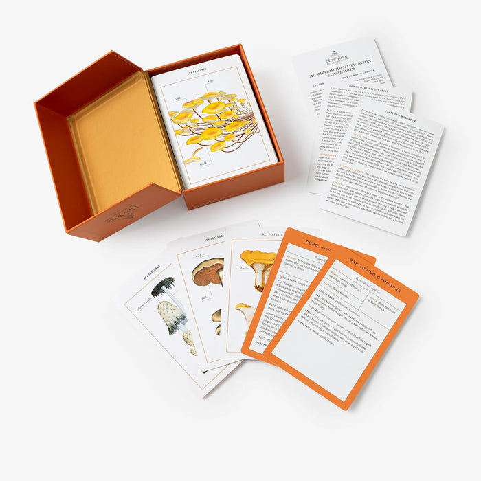 Set of mushroom identification flashcards by Penguin Random House LLC, featuring colorful illustrations of various mushroom species.