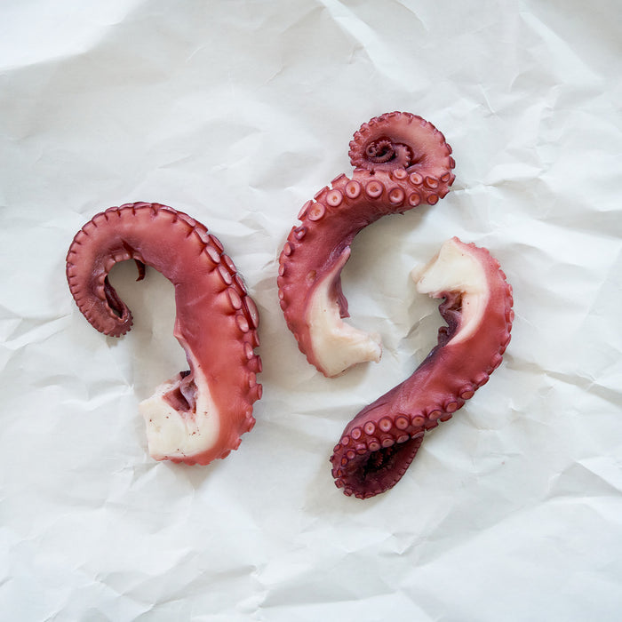 Octopus on parchment paper.