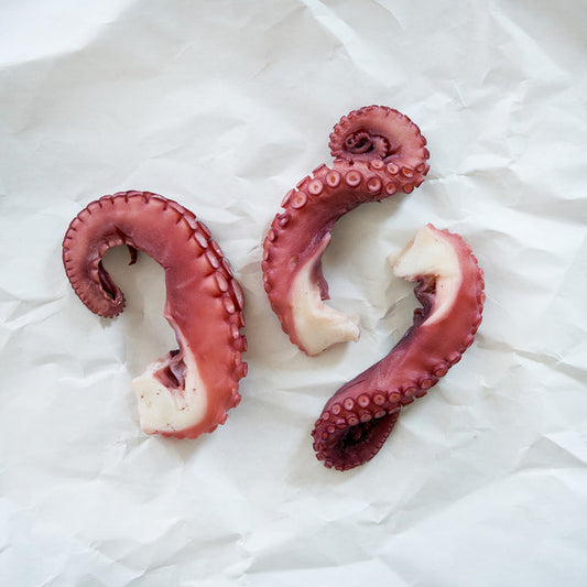 Octopus on parchment paper.