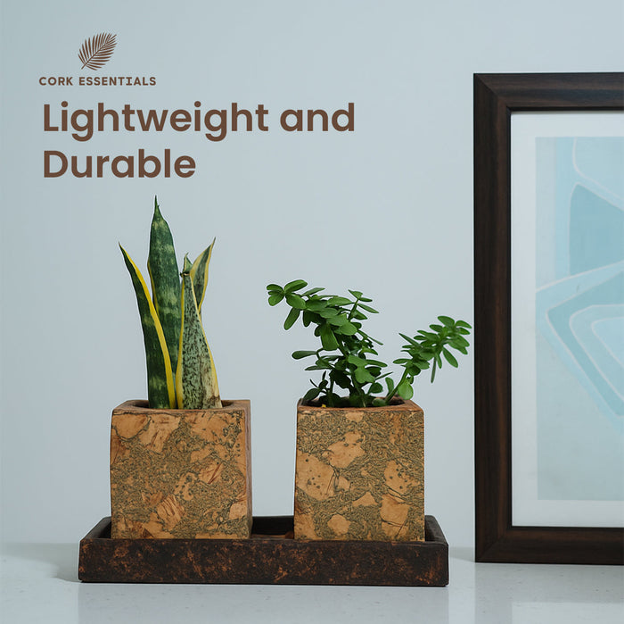 Olive Textured Planter