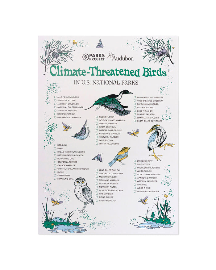 Shop Parks Project x Audubon Bird Checklist Poster Inspired by Parks