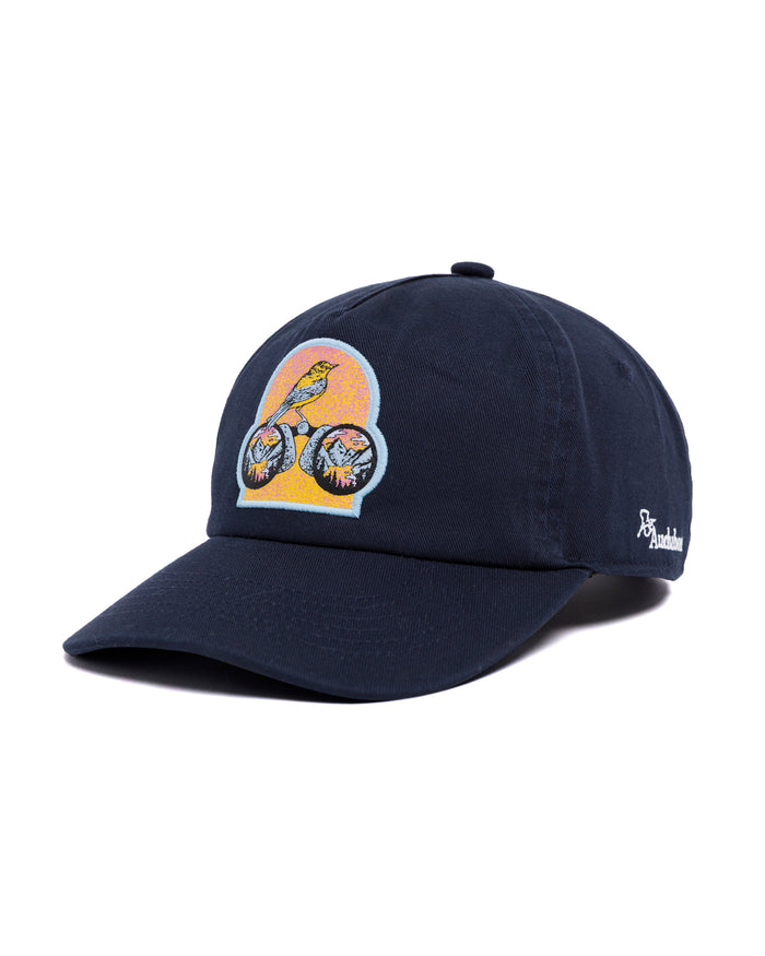 Sho Parks Project x Audubon Patch Hat Inspired by birds in National Parks | navy