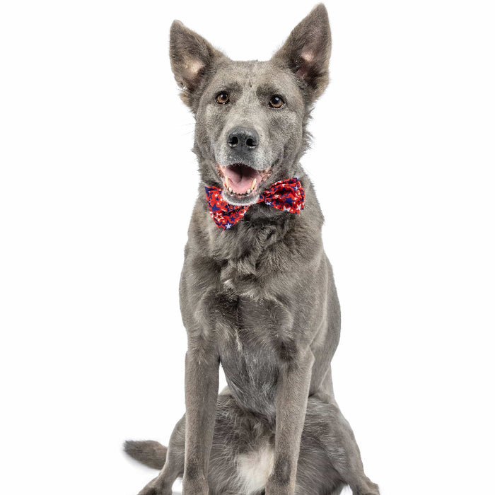 Huxley & Kent Huxley & Kent - Patriot Stars Bow Tie: Small