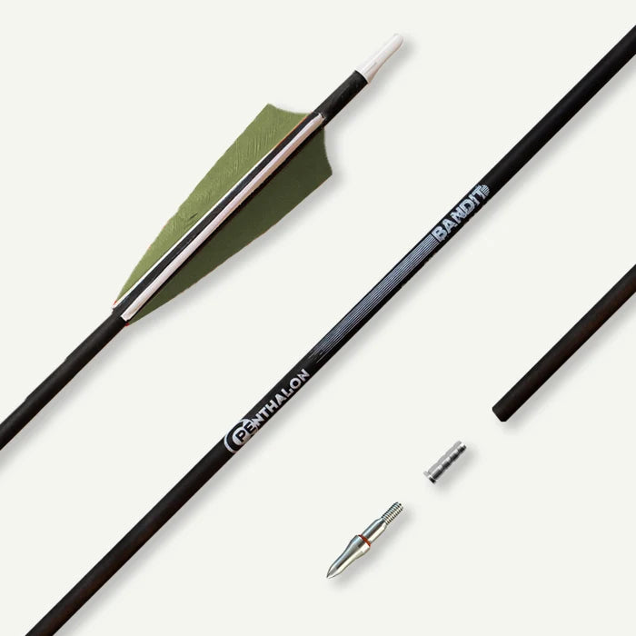 Penthalon Carbonpfeile Bandit Naturfedern 900