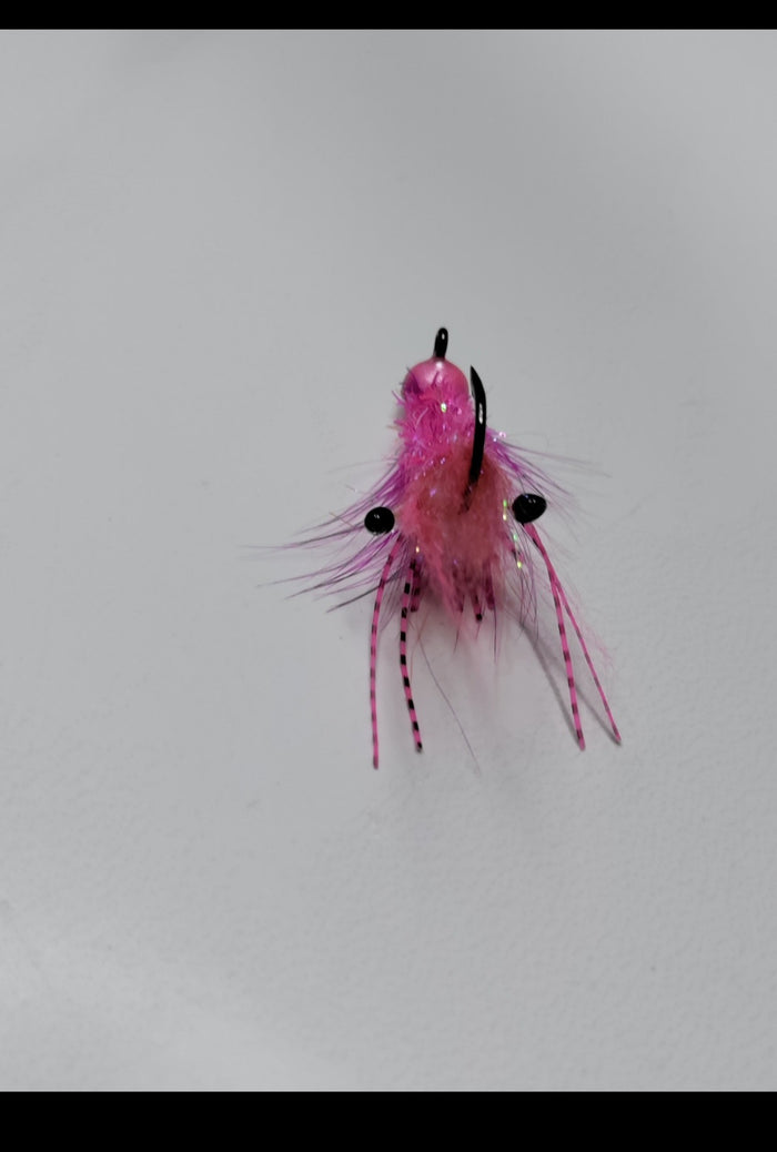 Pink Pearl / Shrimp #3
