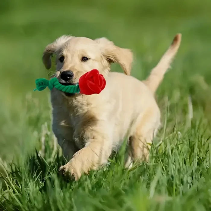 TM - FUNNYSNOW dog toys Plush Red Rose Flower Rope Tug Dog Toy