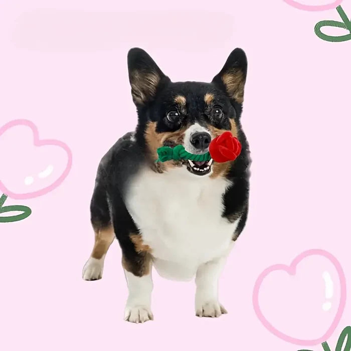 TM - FUNNYSNOW dog toys Plush Red Rose Flower Rope Tug Dog Toy