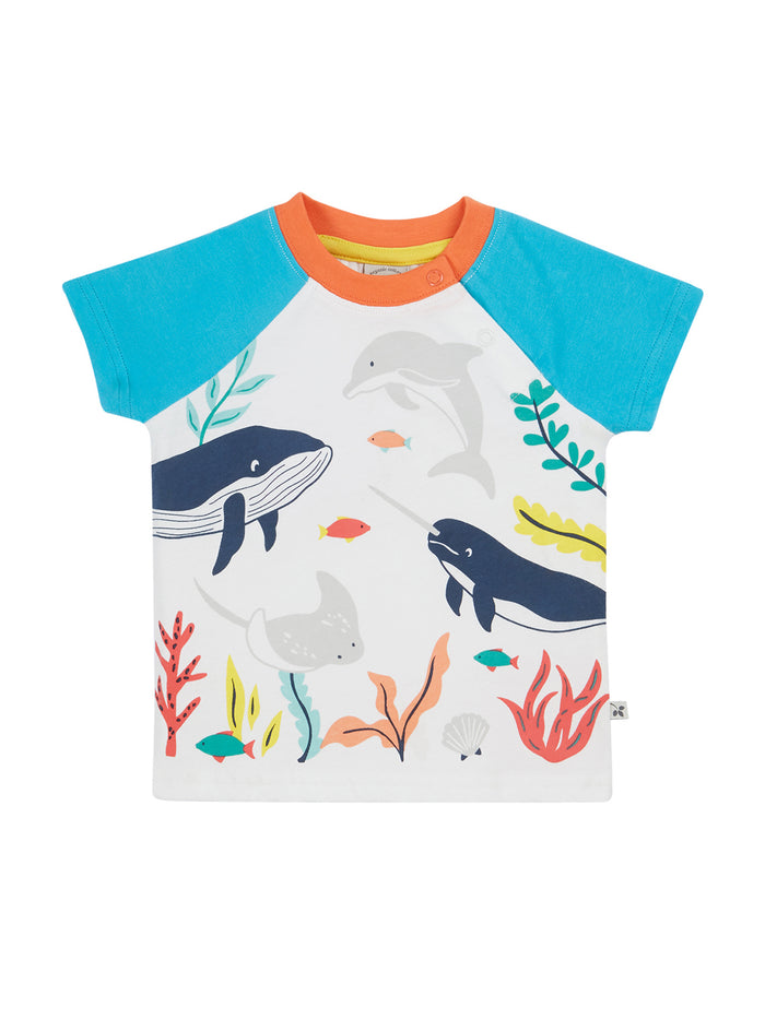 Reid Raglan T-shirt