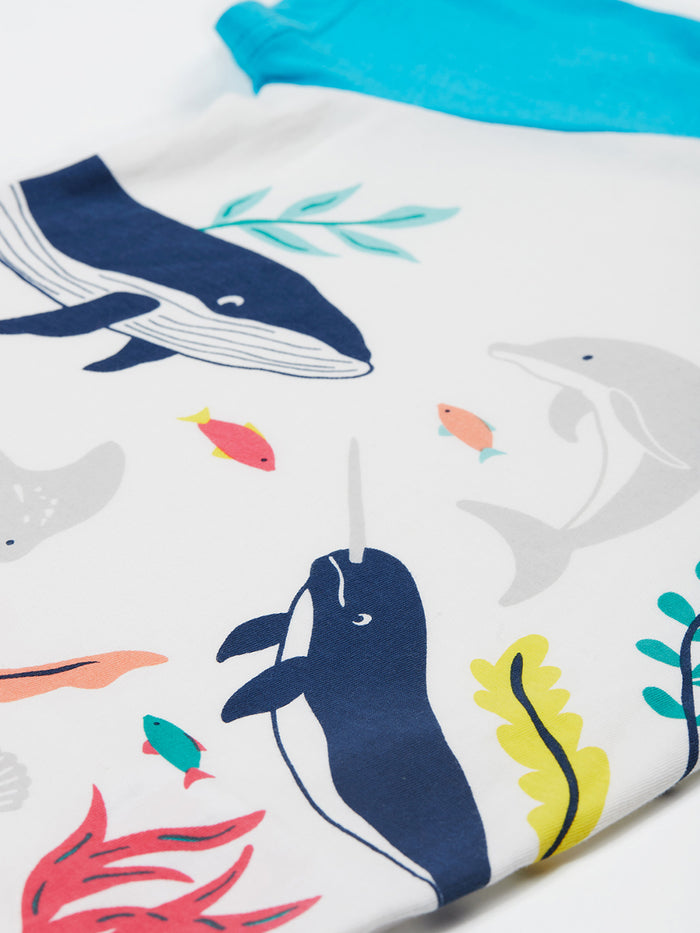 Reid Raglan T-shirt