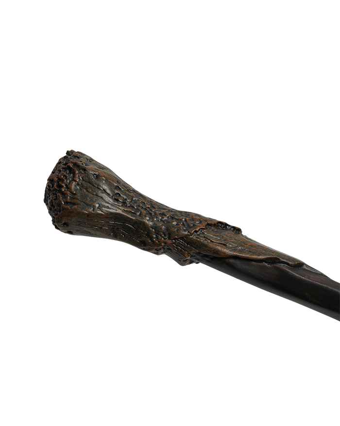 Ron Weasley's Wand
