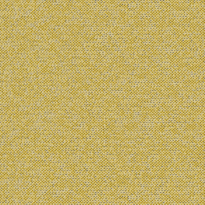Texture Map - Elm Pollen - 2004 - 10