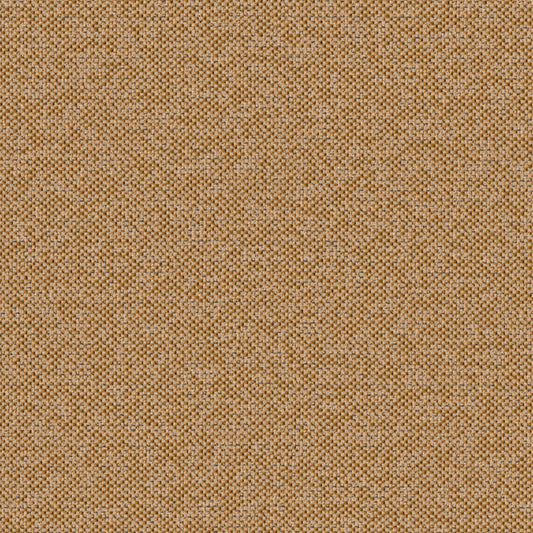 Texture Map - Holocene - 2004 - 06