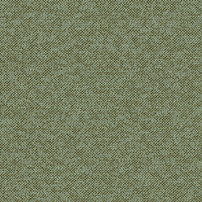 Texture Map - Linden - 2004 - 12