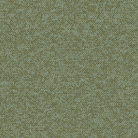 Texture Map - Linden - 2004 - 12