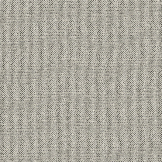 Texture Map - Trace Fossil - 2004 - 04