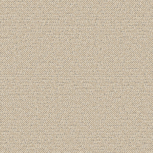 Texture Map - Windblown Silt - 2004 - 05