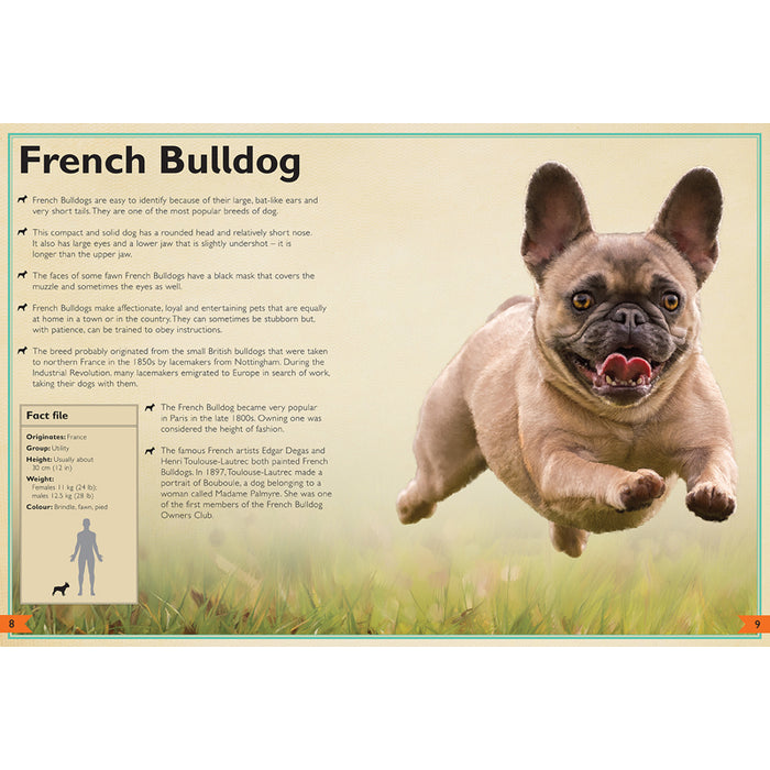 The Magnificent Book of Dogs