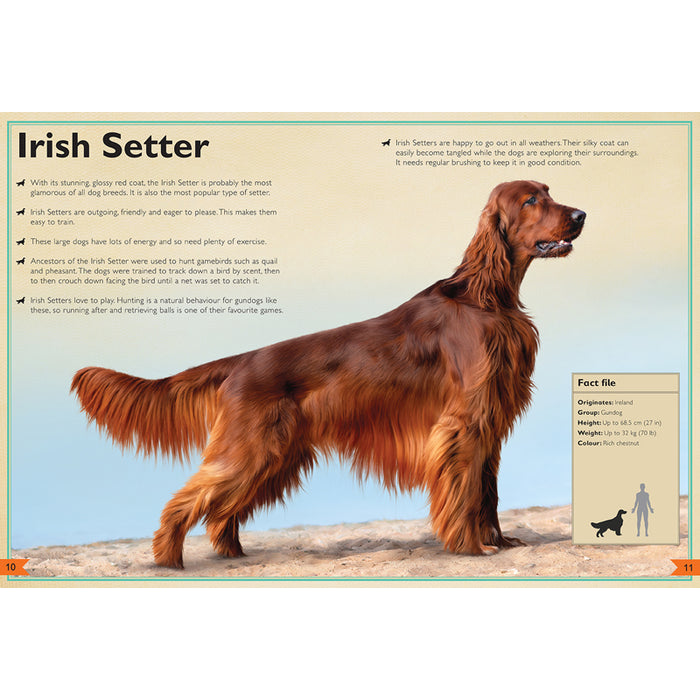 The Magnificent Book of Dogs
