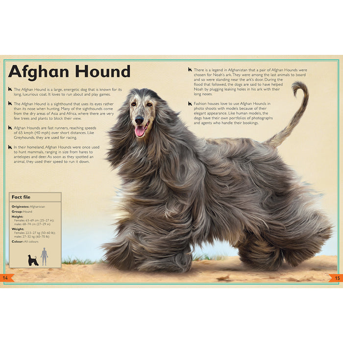 The Magnificent Book of Dogs