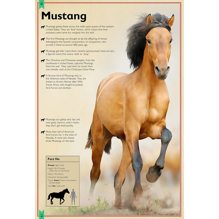 The Magnificent Book of Horses