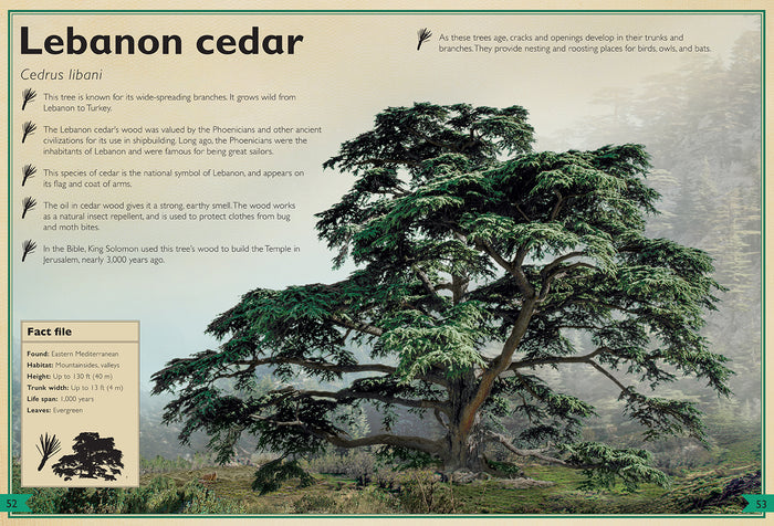 The Magnificent Book of Trees