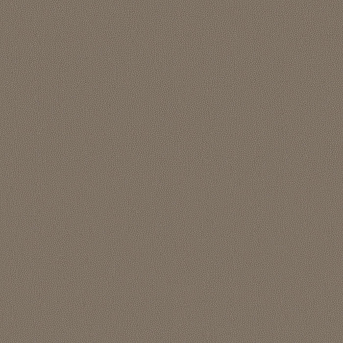 Touch Tone - Fallow - 4117 - 12