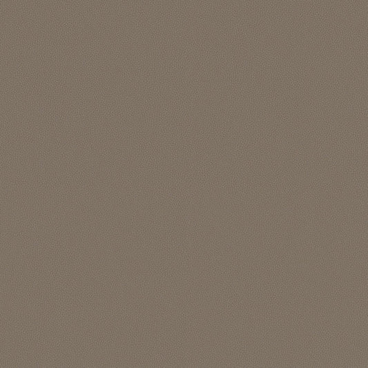 Touch Tone - Fallow - 4117 - 12