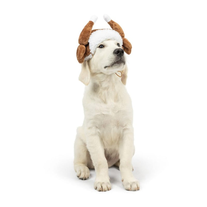 Turkey Tester Holiday Season Dog Hat