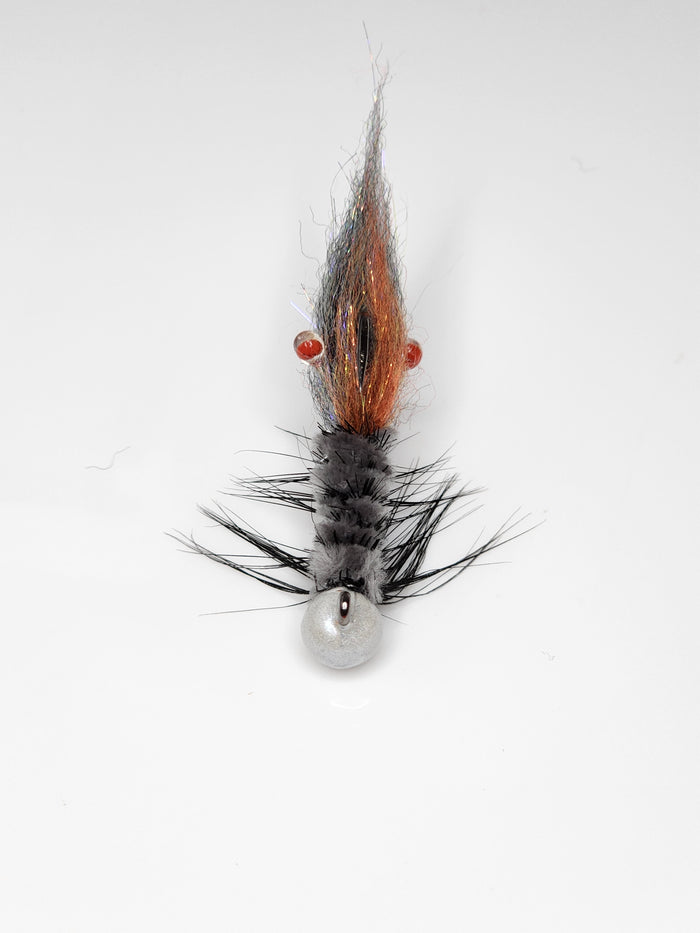 White Pearl Shrimp